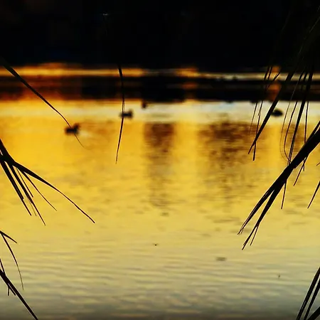 Ferienhaeuser Seepark Ternsche بيت للعطل Selm