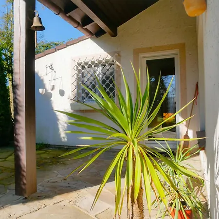 Ferienhaeuser Seepark Ternsche *