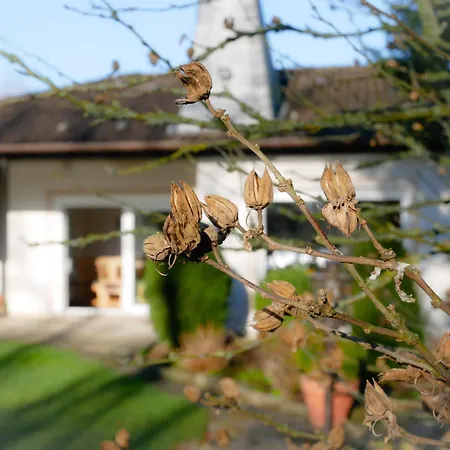 Ferienhaeuser Seepark Ternsche بيت للعطل