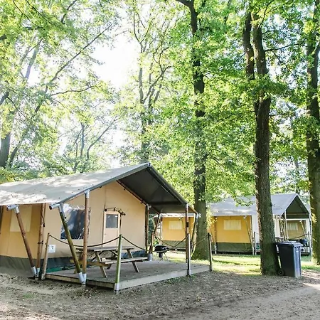 Ferienhaeuser Seepark Ternsche Lüks kamp alanı *