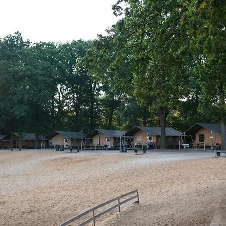 Ferienhaeuser Seepark Ternsche *