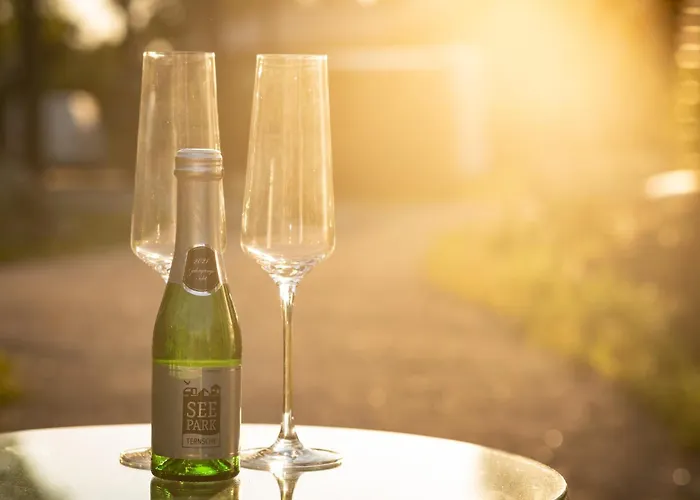 Ferienhaeuser Seepark Ternsche Selm