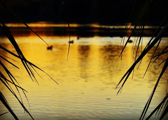 Ferienhaeuser Seepark Ternsche Casa de Férias Selm