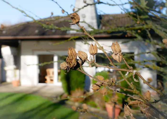 Ferienhaeuser Seepark Ternsche Holiday home