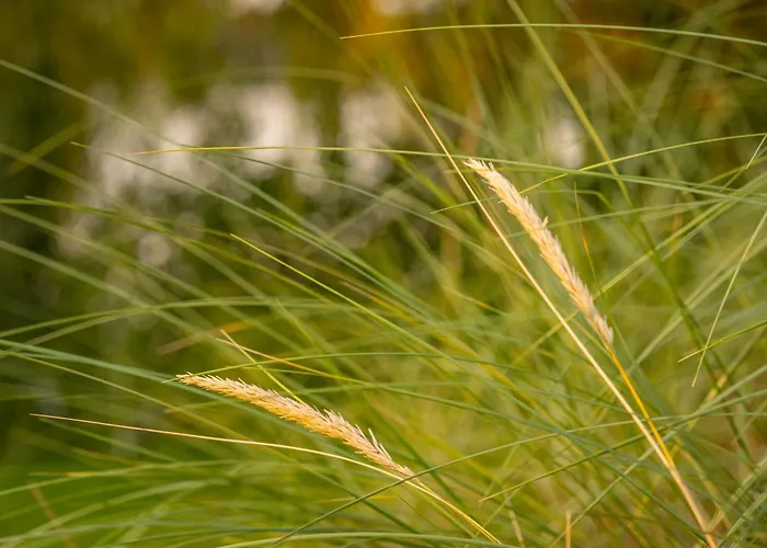 Ferienhaeuser Seepark Ternsche Holiday home