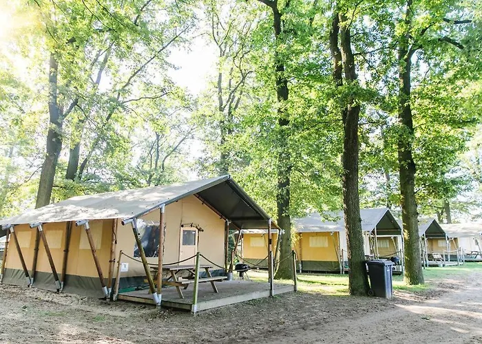 Ferienhaeuser Seepark Ternsche Holiday home *